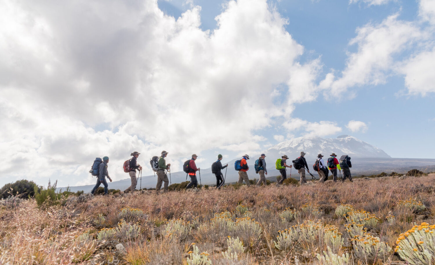 Kilimanjaro climbing – Lemosho Route 6 Days